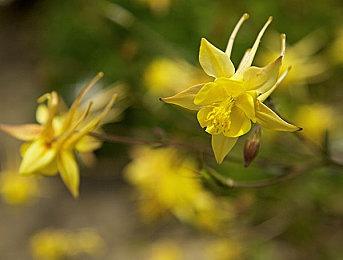 《RTA in Japan Summer 2023》开幕 高手玩家的盛典